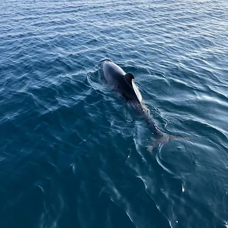Au Coeur De La Napoule, Plages Et Village A Pied Lejlighed *